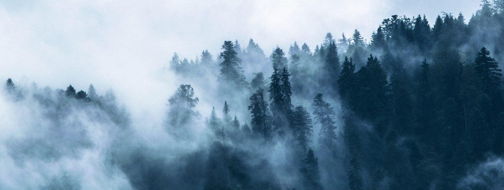 Health blog: Eating Disorders